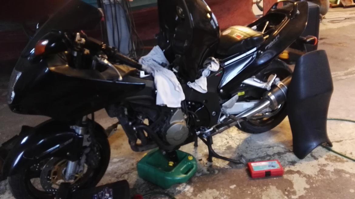 Honda cbr 1100xx blackbird billede 7