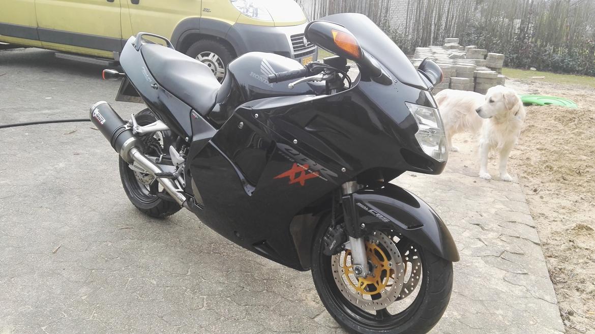 Honda cbr 1100xx blackbird billede 3
