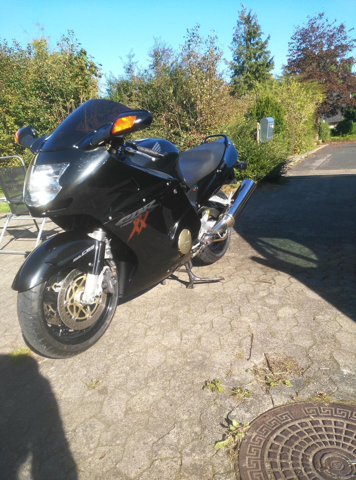 Honda cbr 1100xx blackbird billede 12