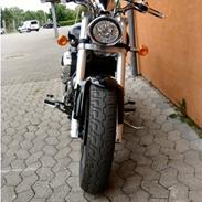 Suzuki M800 Intruder (VZ800)