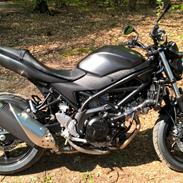 Suzuki SV 650