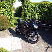 Kawasaki Ninja 250r
