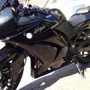 Kawasaki Ninja 250r