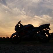 Honda CBR 600 F2