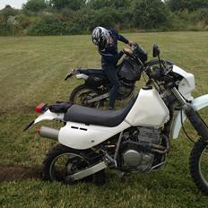 Honda XR650L