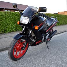 Kawasaki GPX 250 R SOLGT