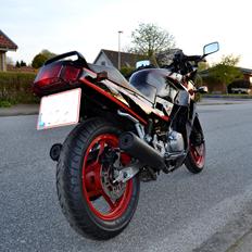 Kawasaki GPX 250 R SOLGT