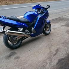 Honda CBR XX1100 SuperBlackbird