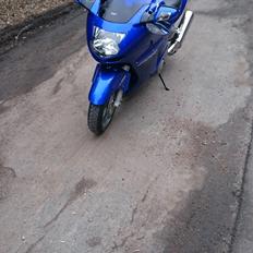 Honda CBR XX1100 SuperBlackbird