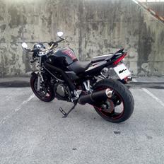 Suzuki SV1000N