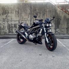 Suzuki SV1000N