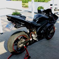 Yamaha R1 RN12 Limited Edition! The Black Pearl!!! 