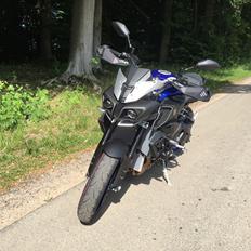Yamaha MT10