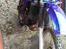 Yamaha DT 125 lc 