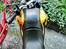Aprilia Pegaso 650 Strada