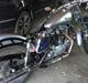 Harley Davidson 883' Sportster 