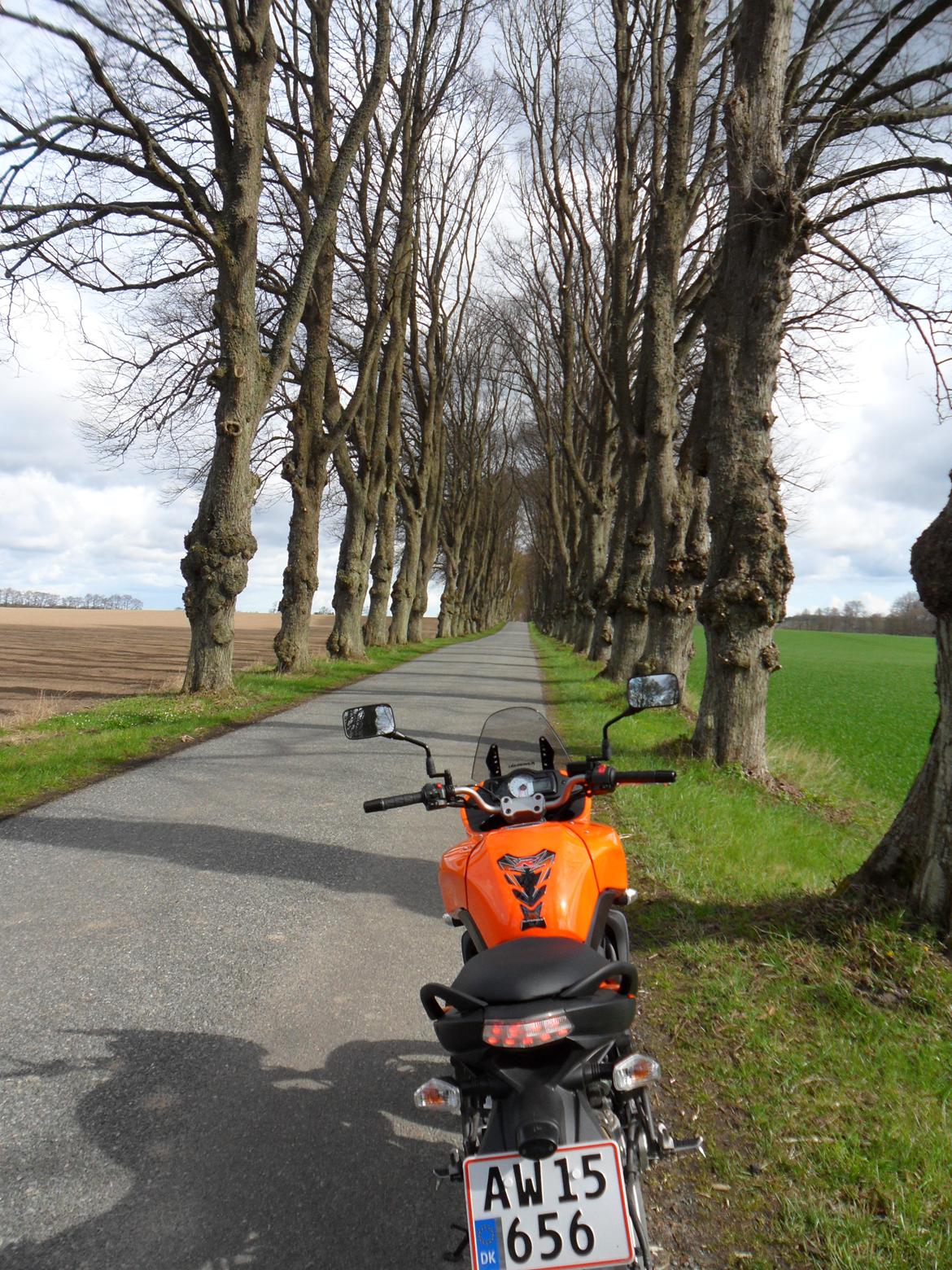 Kawasaki Versys LE 650 (solgt sept. 2019) - Vejalle ved Ravnholt billede 30