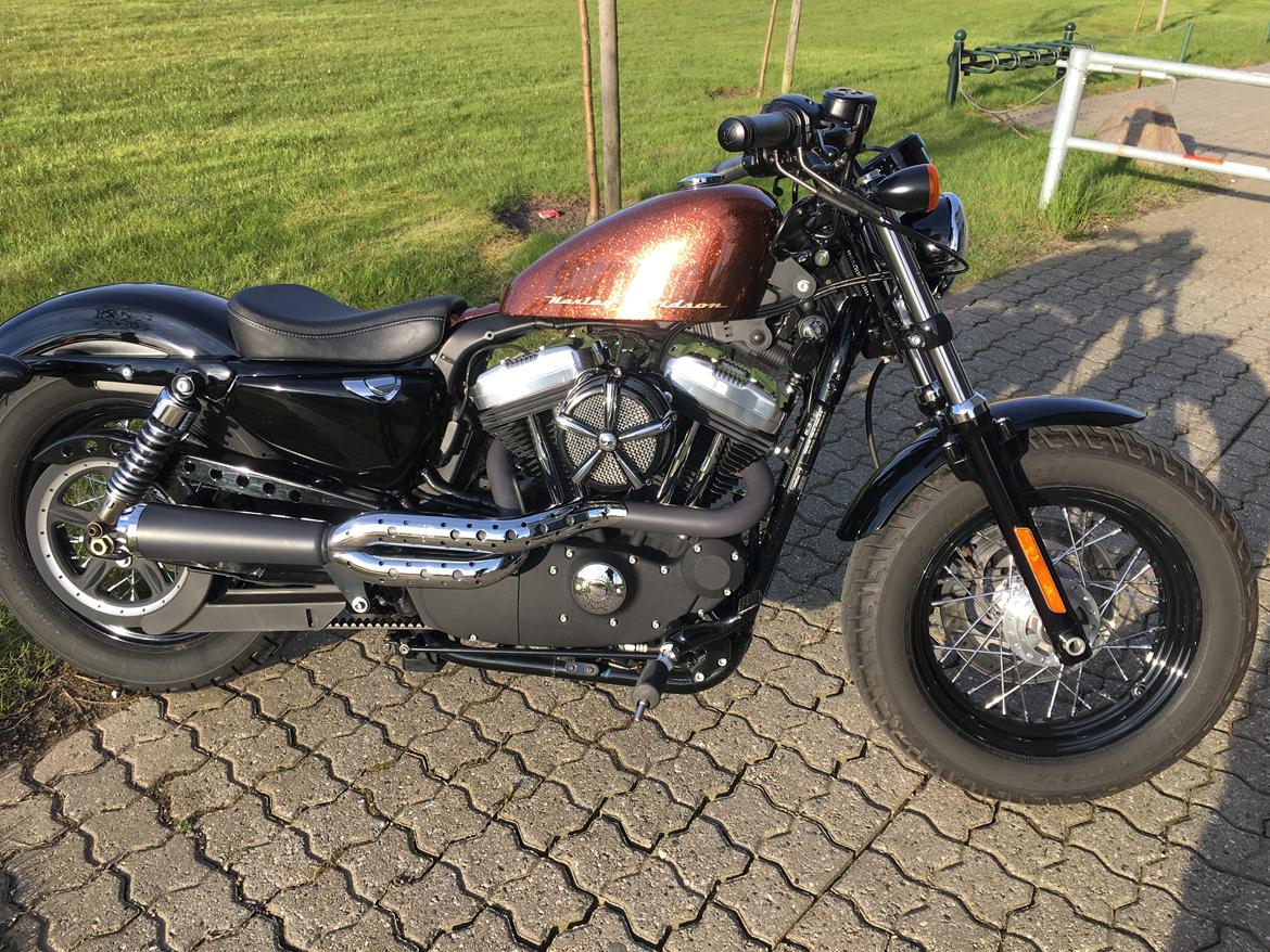 Harley Davidson Sportster XL 1200 Forty Eight billede 1