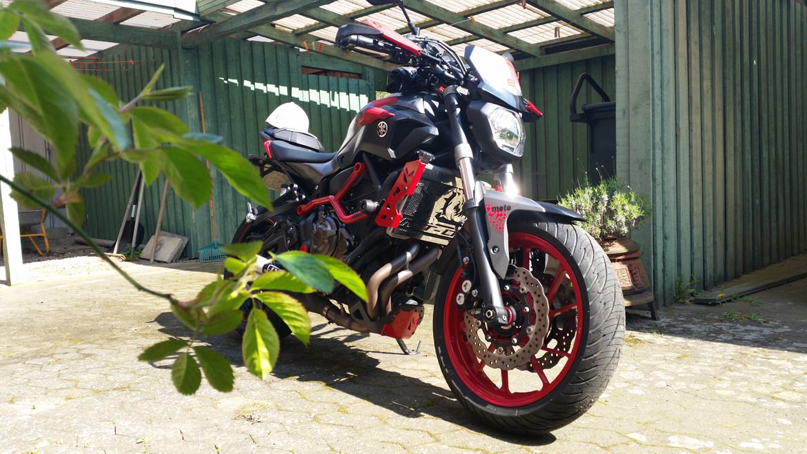 Yamaha MT 07 Moto Cage billede 26