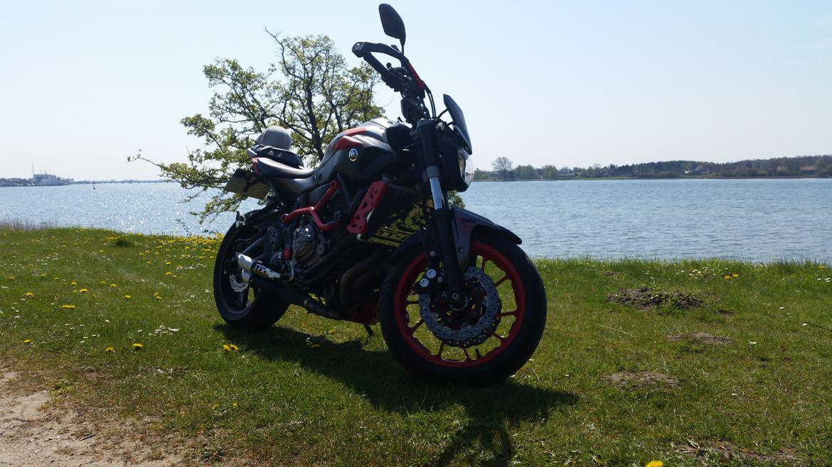 Yamaha MT 07 Moto Cage billede 27