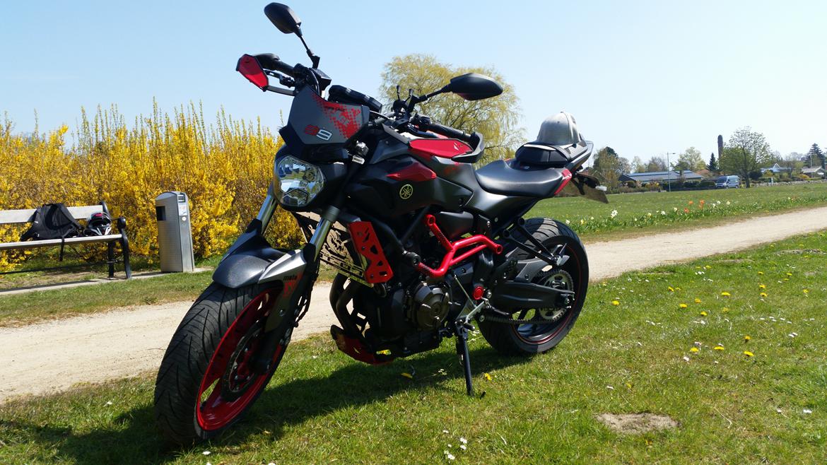 Yamaha MT 07 Moto Cage billede 30