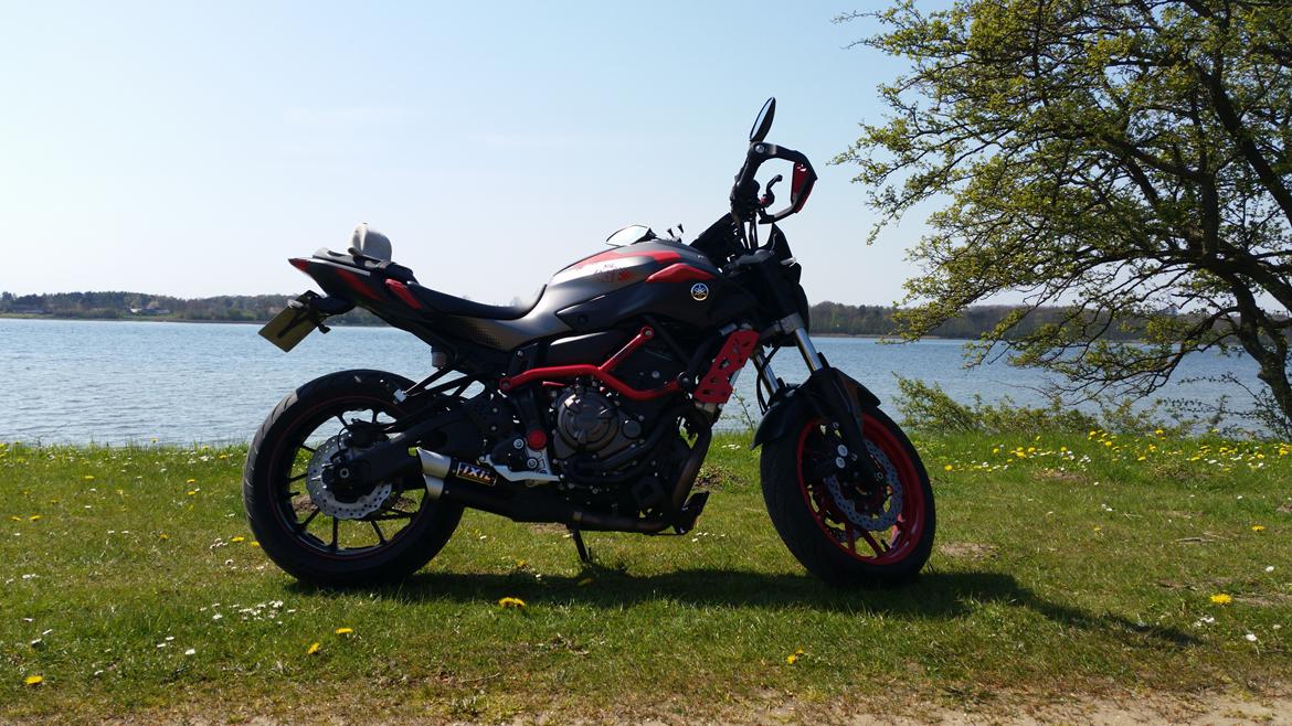 Yamaha MT 07 Moto Cage billede 31