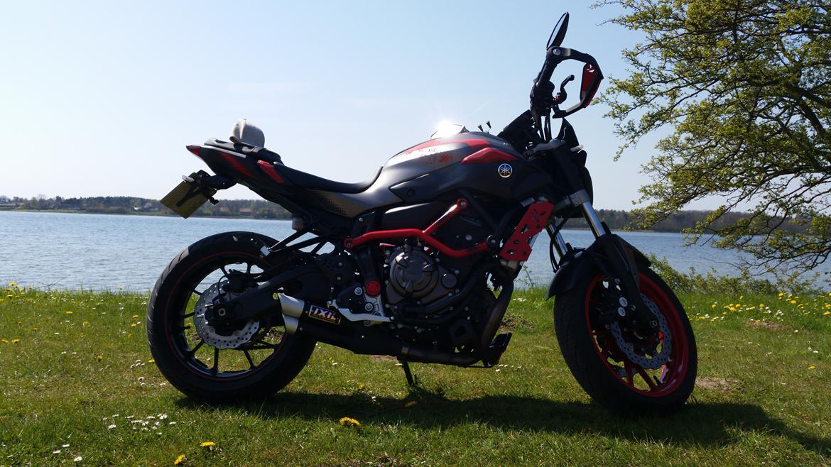 Yamaha MT 07 Moto Cage billede 32