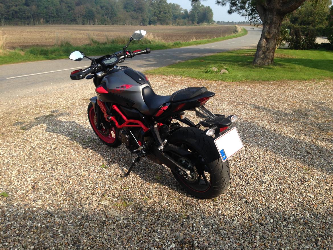 Yamaha Mt 07 Motocage billede 2