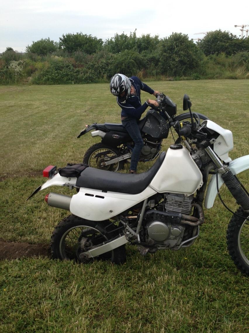 Honda XR650L billede 2