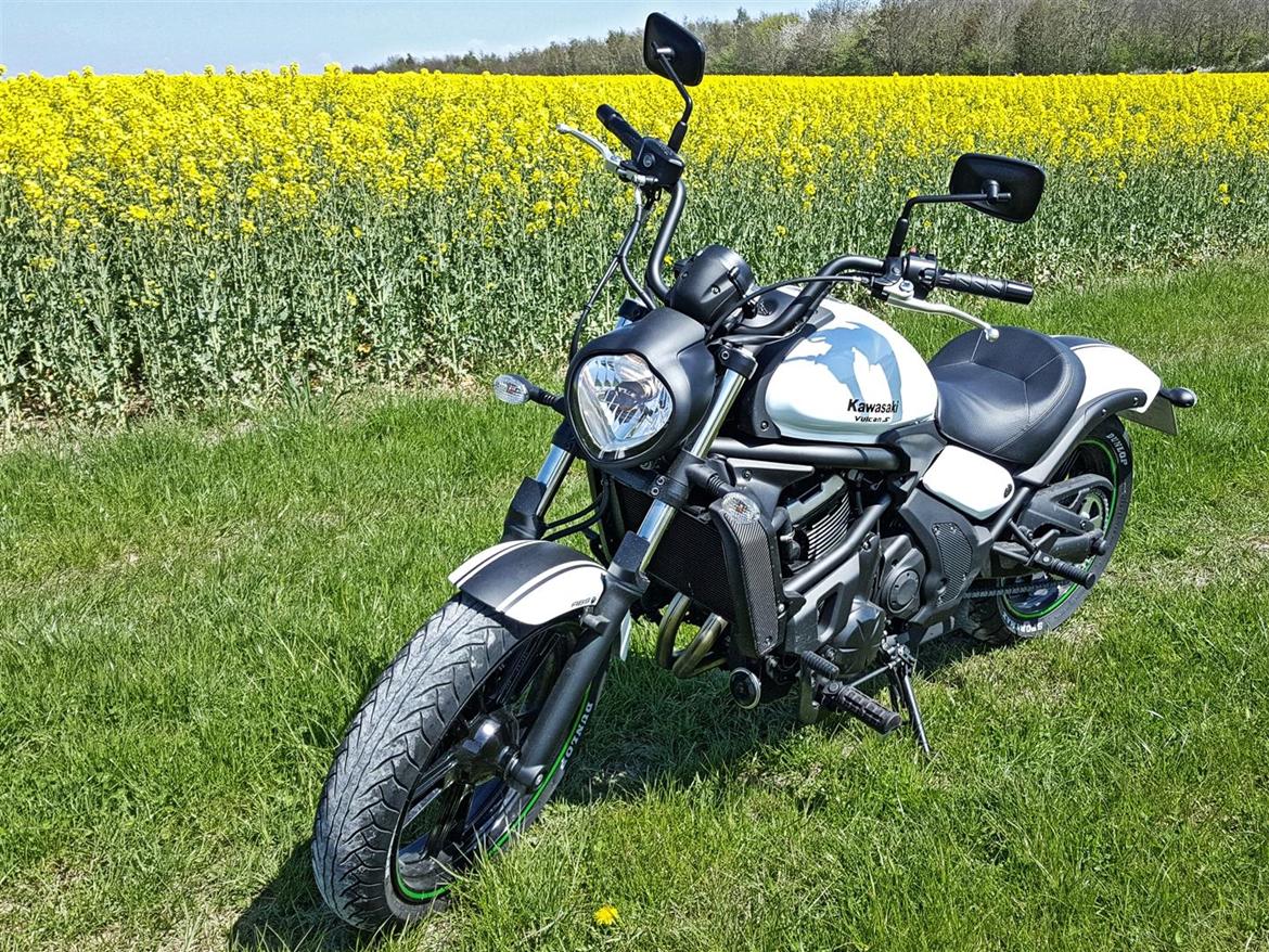Kawasaki Vulcan S billede 6