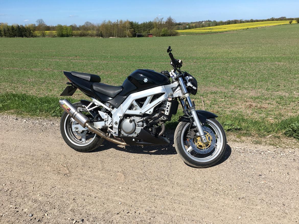 Suzuki SV 650 N billede 6