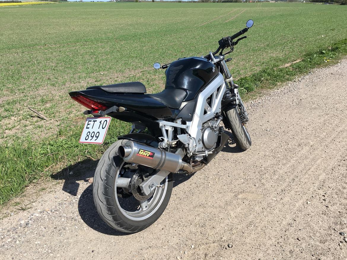 Suzuki SV 650 N billede 9