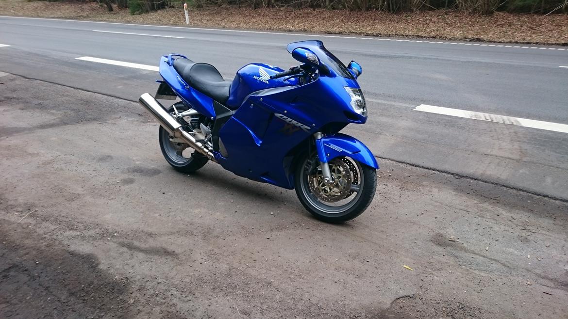 Honda CBR XX1100 SuperBlackbird billede 1