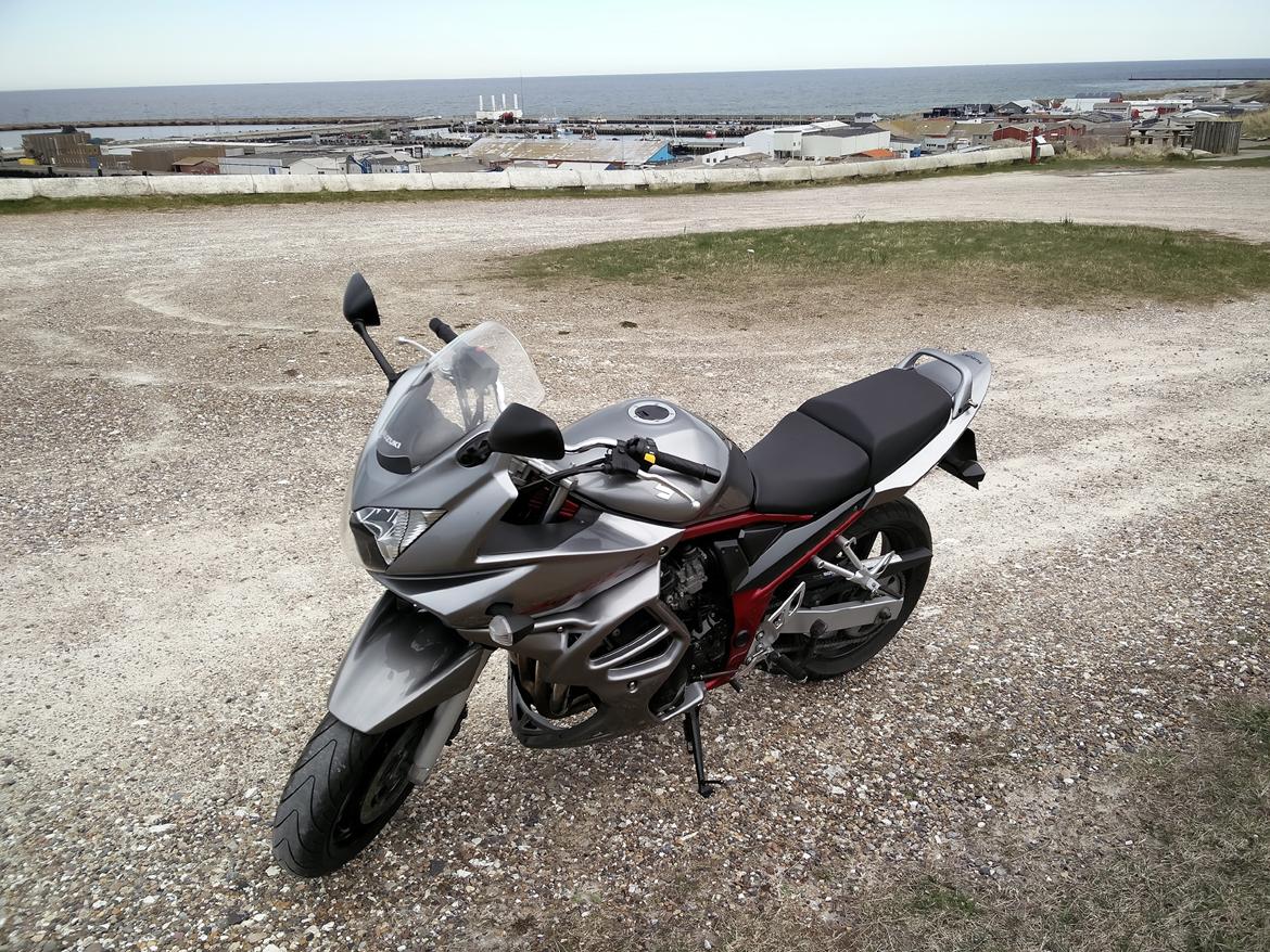 Suzuki GSF 650 S Bandit billede 7