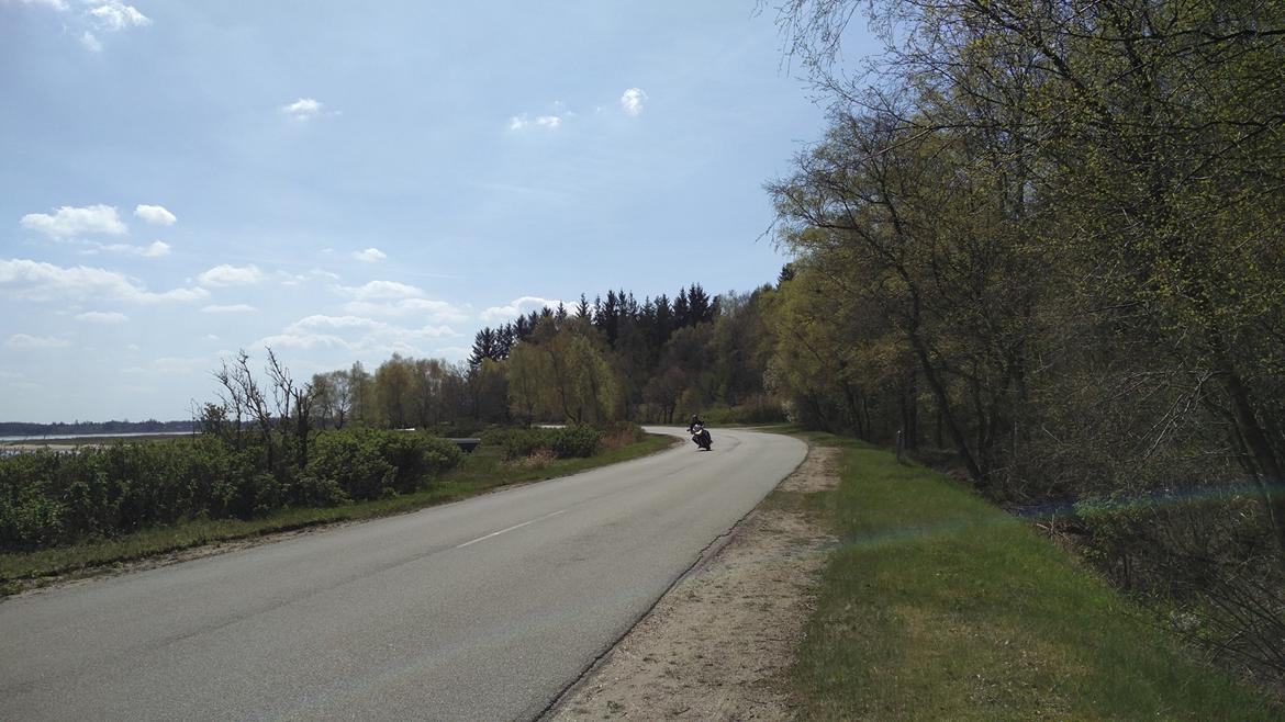 Suzuki GSF 650 S Bandit billede 8