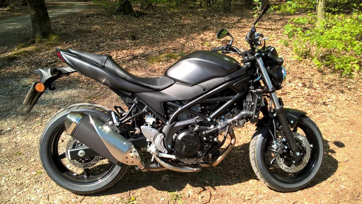 Suzuki SV 650 billede 1