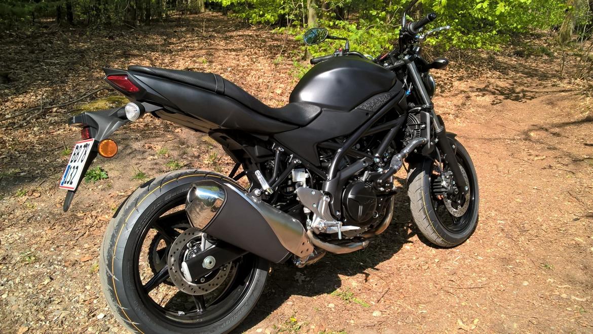 Suzuki SV 650 - Led baglygte billede 3