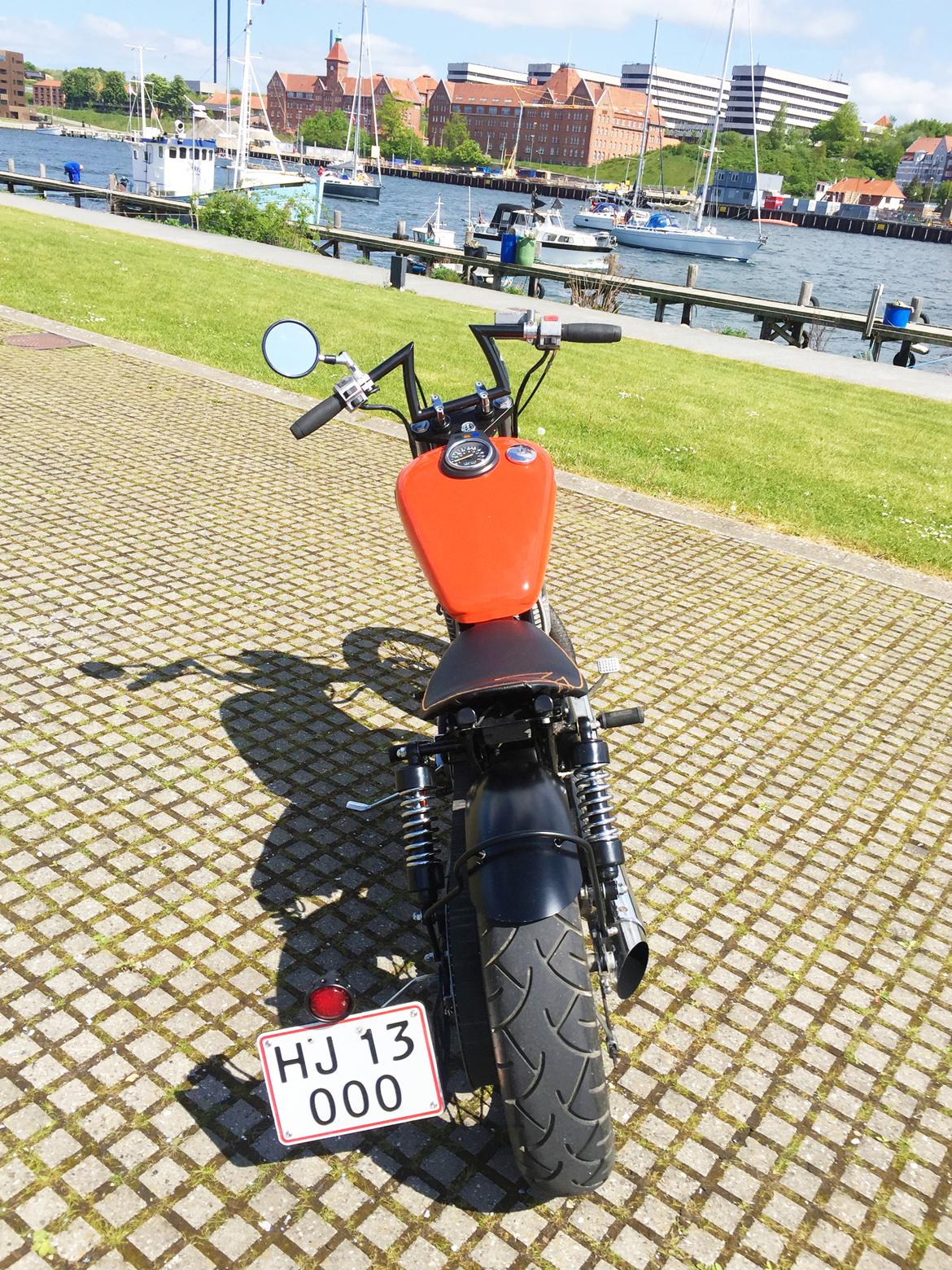 Suzuki ls650 Savage billede 12