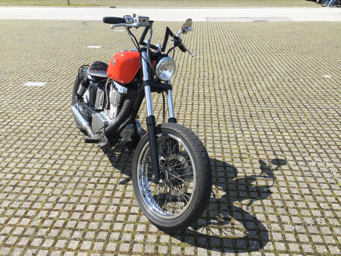 Suzuki ls650 Savage billede 14