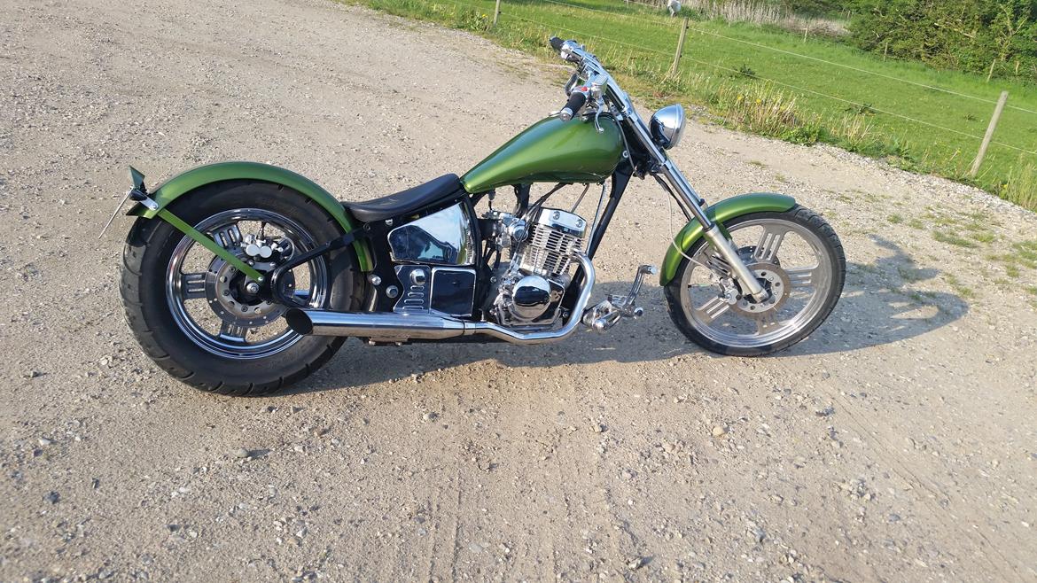 Regal Raptor Spyder billede 1