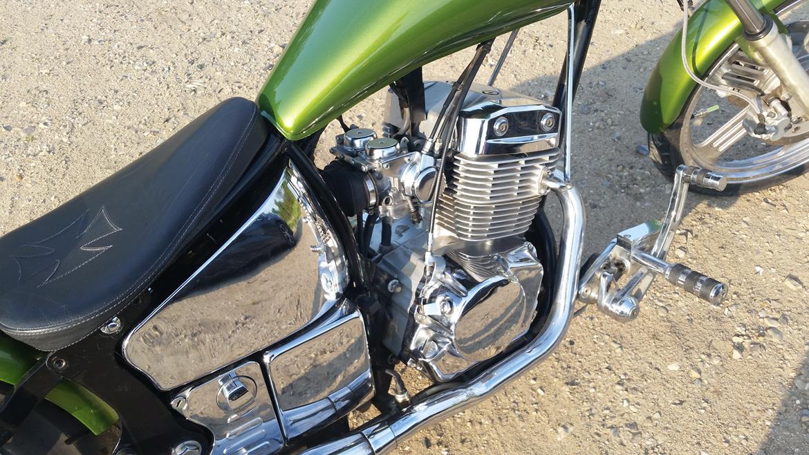 Regal Raptor Spyder billede 3