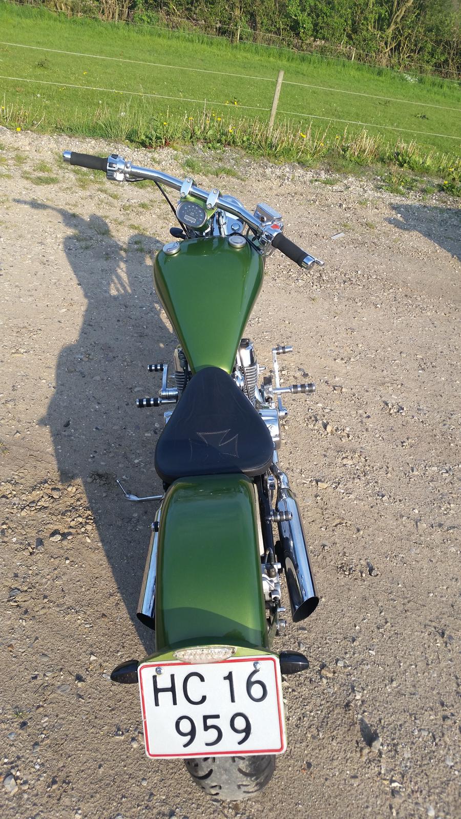 Regal Raptor Spyder billede 4