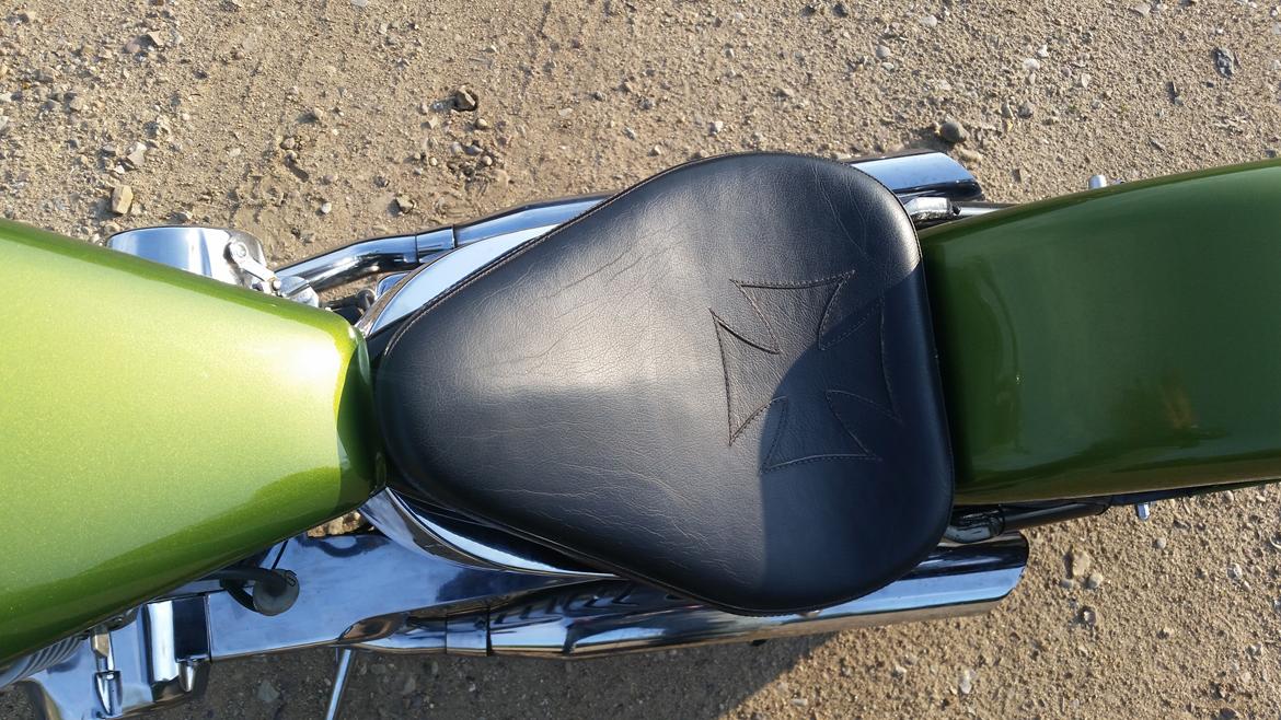 Regal Raptor Spyder billede 5