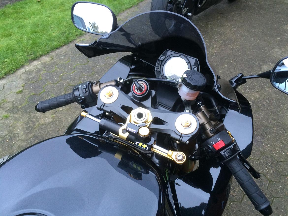 Kawasaki ZX10R billede 10