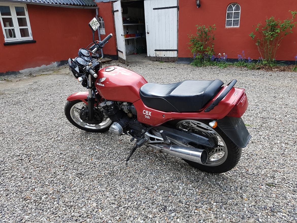 Honda CBX 550 billede 5