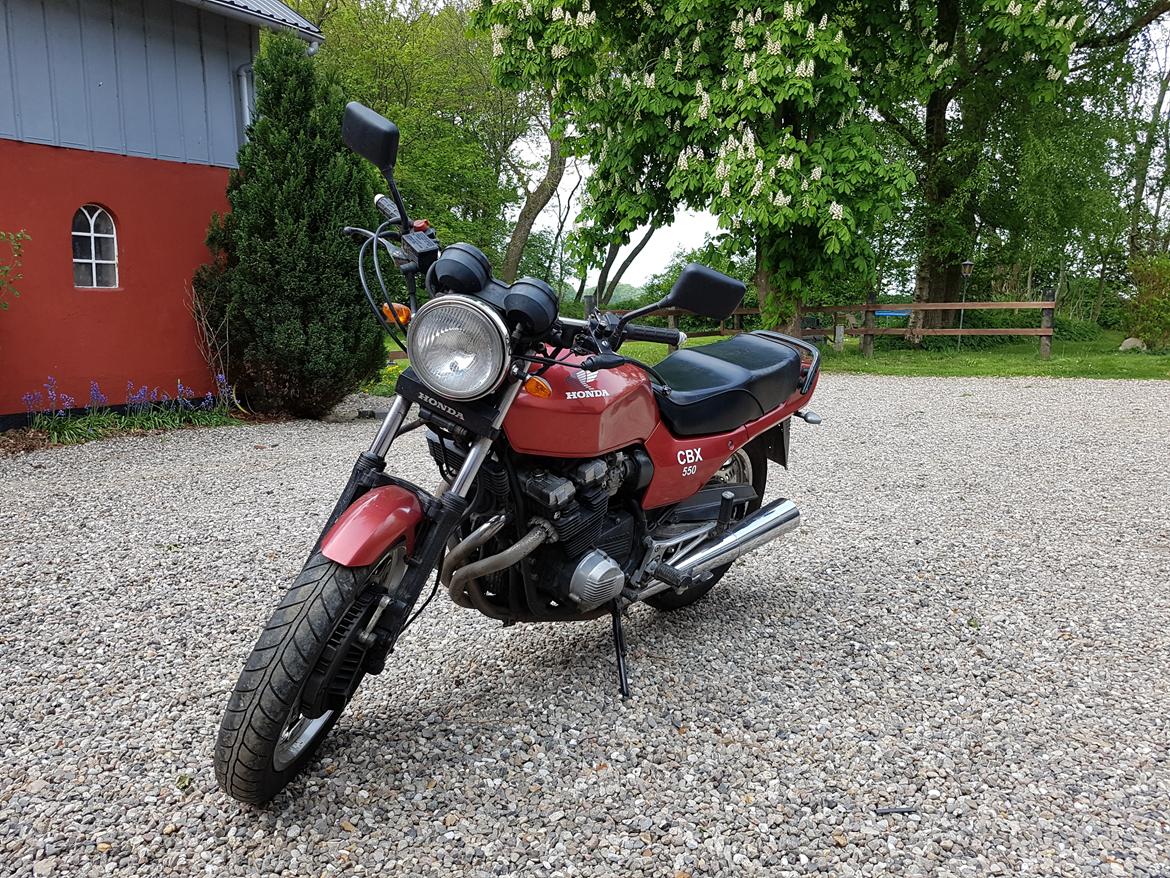 Honda CBX 550 billede 3