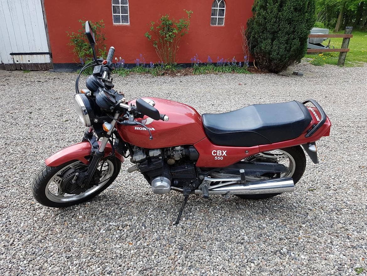 Honda CBX 550 billede 4