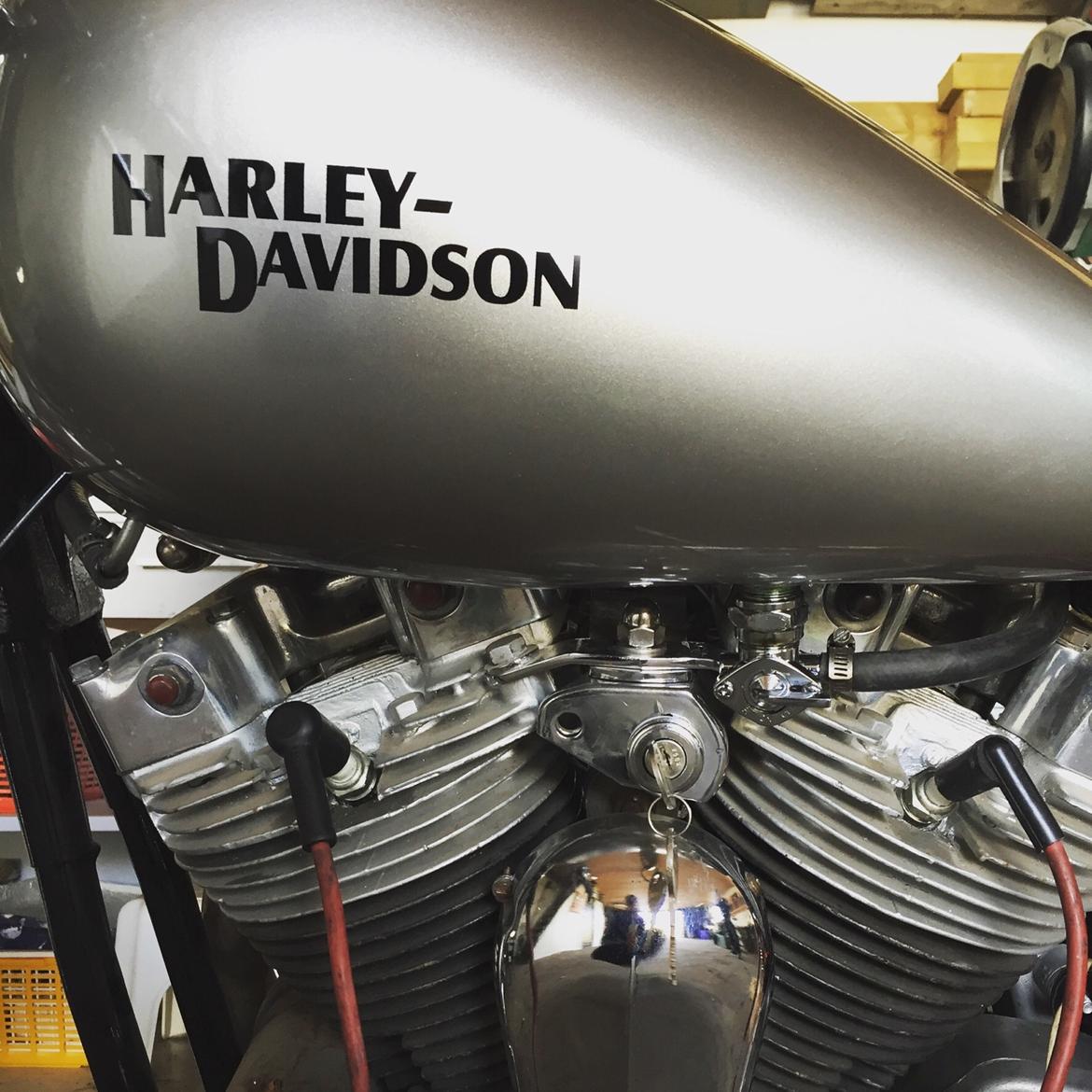Harley Davidson 883' Sportster  billede 3