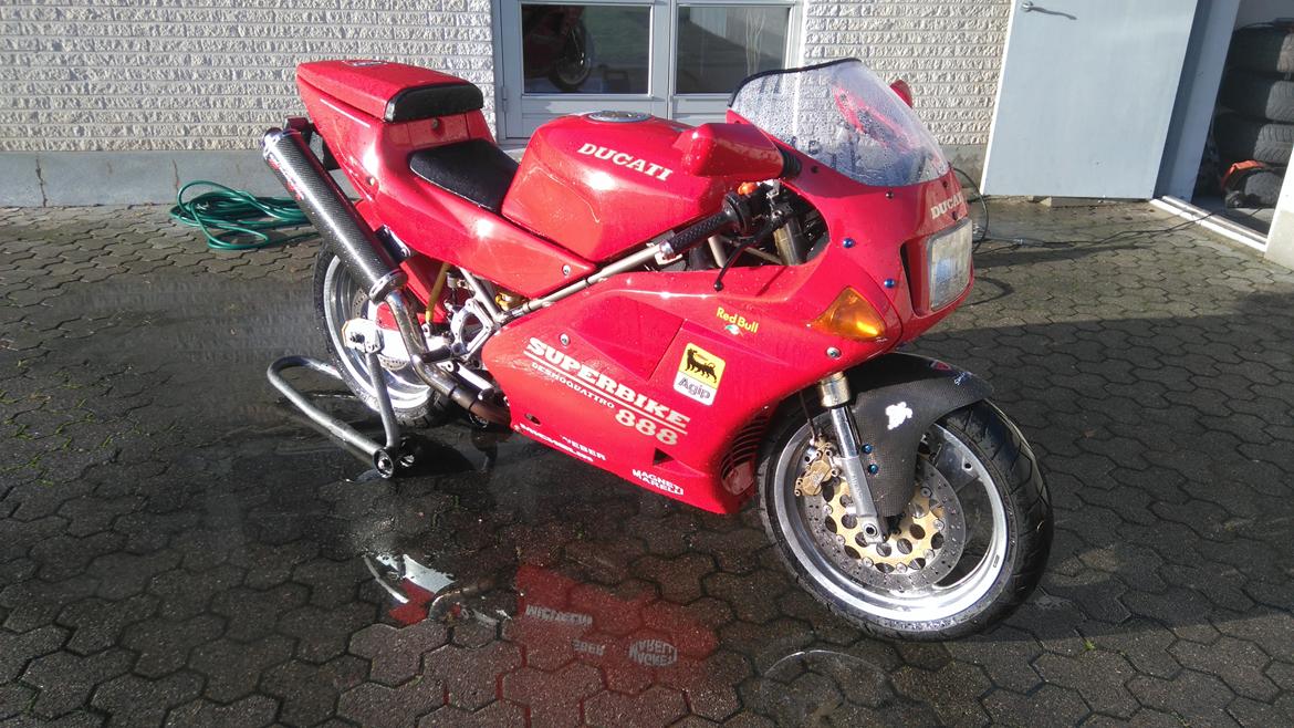 Ducati 888 billede 6