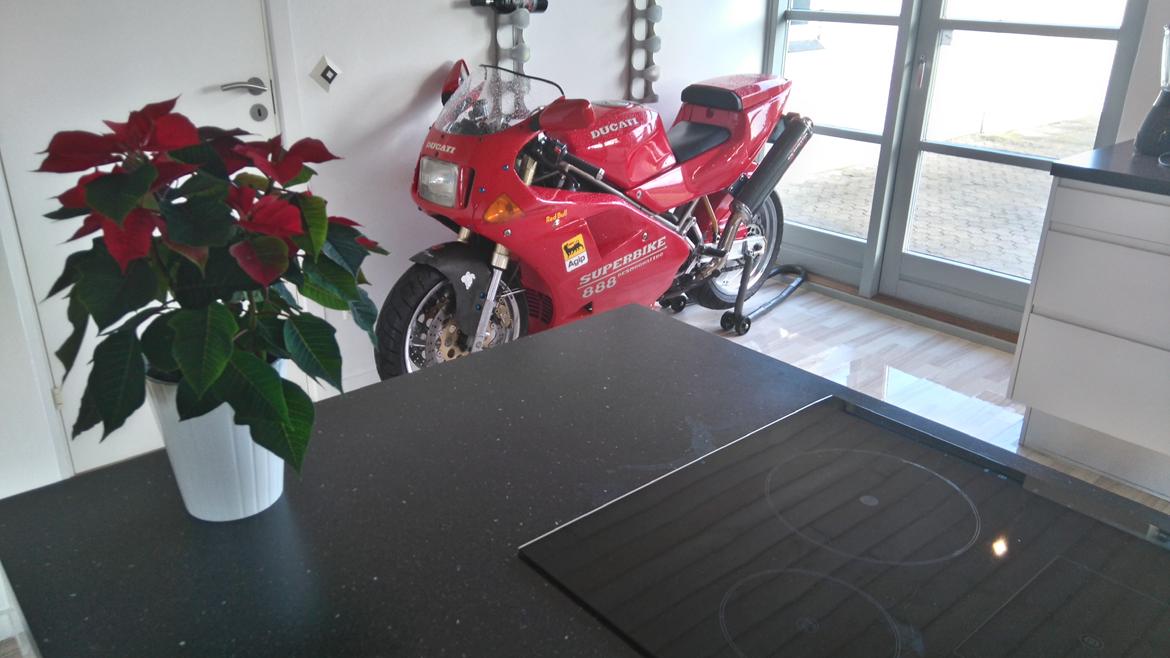 Ducati 888 billede 10